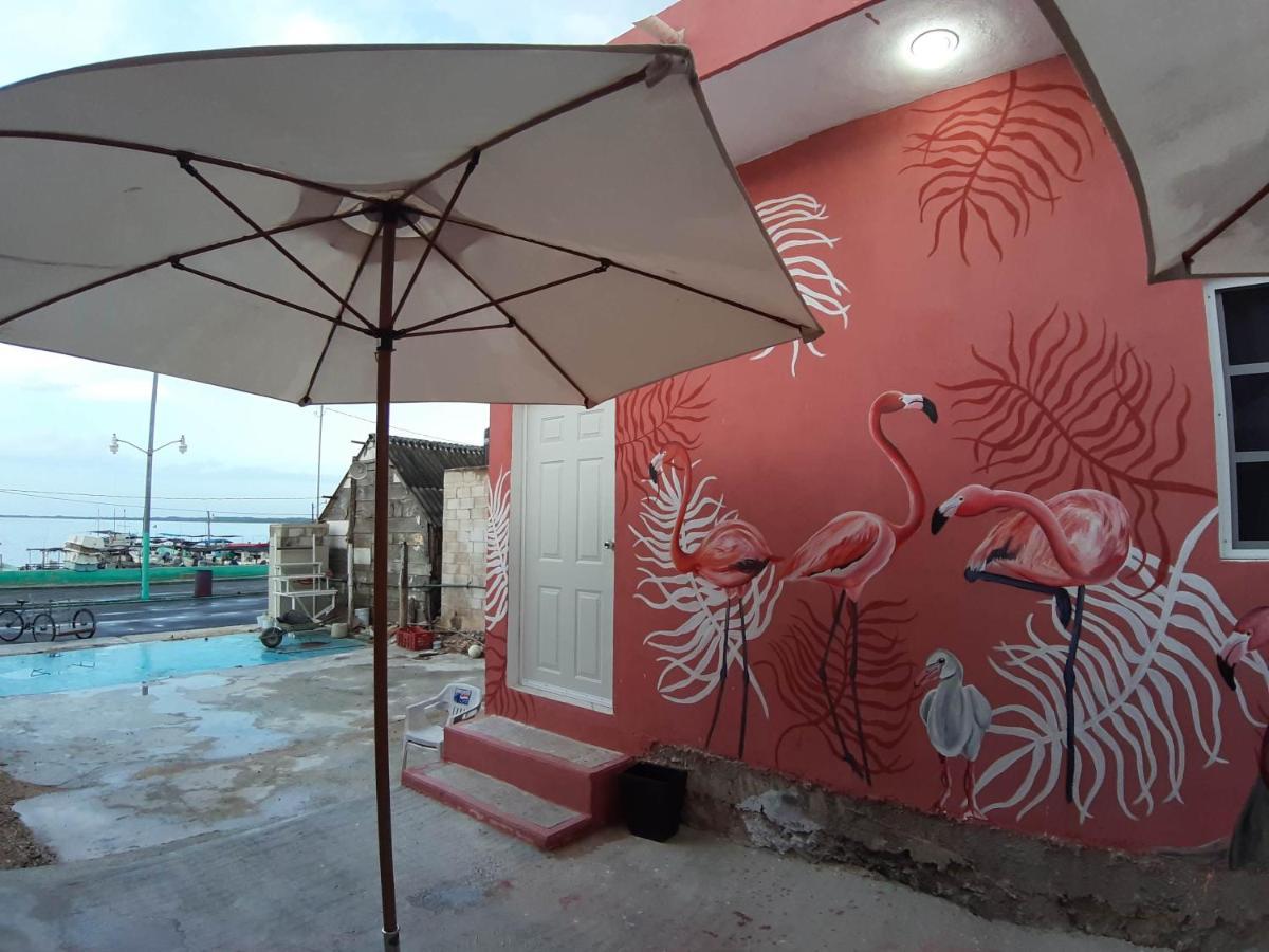 Habitaciones Chiquil Ha Río Lagartos Extérieur photo